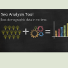 Seo Analysis Tool